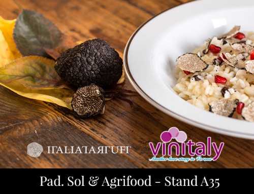 Andiamo al Vinitaly !